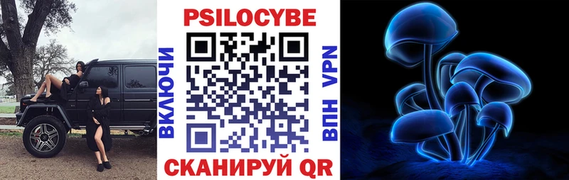 Галлюциногенные грибы прущие грибы  Урус-Мартан 